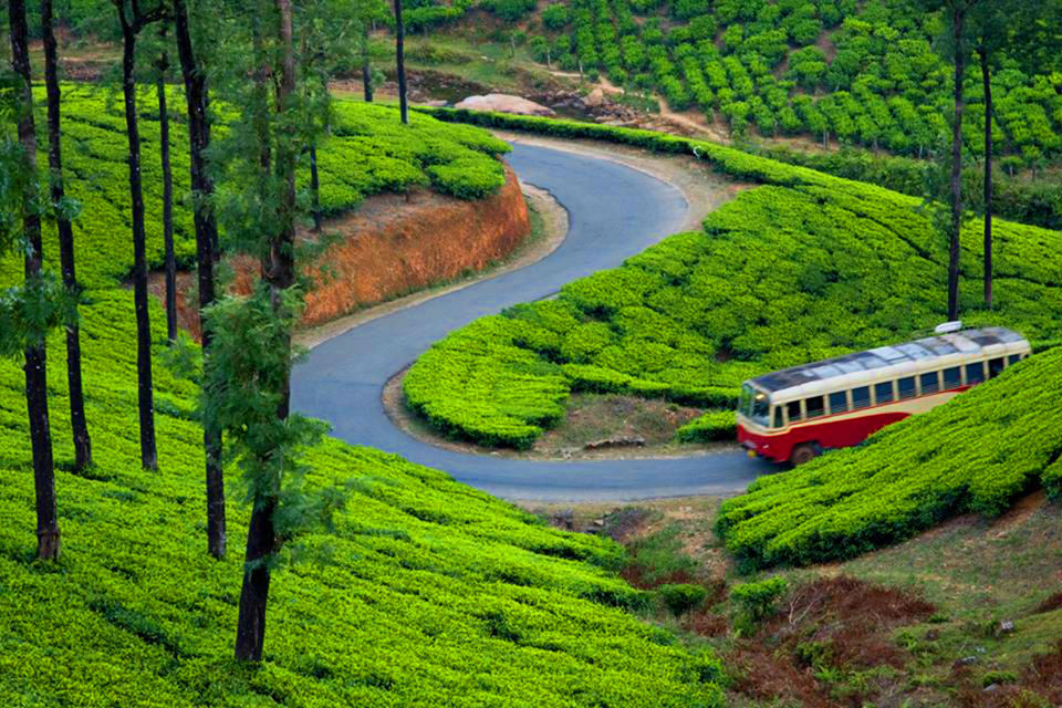 Photo of Top romantic honeymoon destinations in India Specially for newlyweds 3/6 by Shifali (Nature Lover)