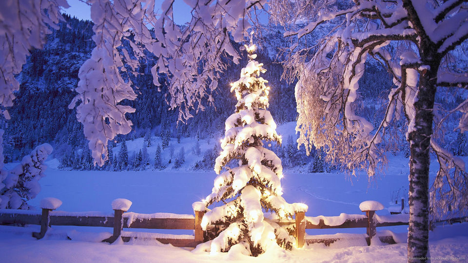 Photo of Top winter places to visit in India 5/7 by Shifali (Nature Lover)