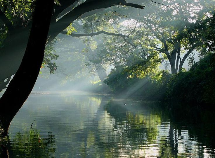 Photo of Top winter places to visit in India 6/7 by Shifali (Nature Lover)
