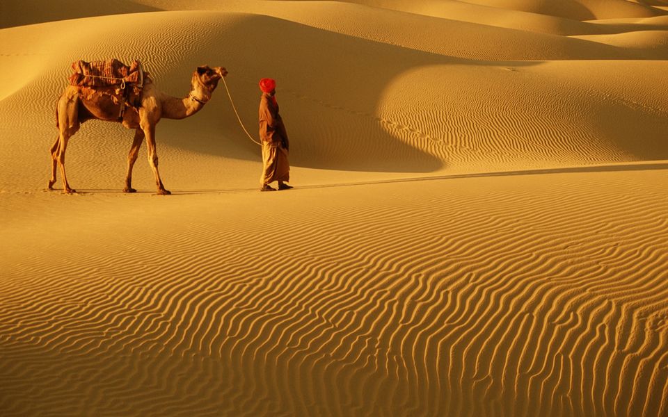 Photo of Top winter places to visit in India 4/7 by Shifali (Nature Lover)