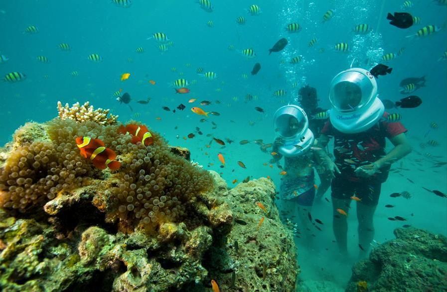 Photo of Top things to Consider during your Andaman and Nicobar Island Trip 2/9 by Shifali (Nature Lover)