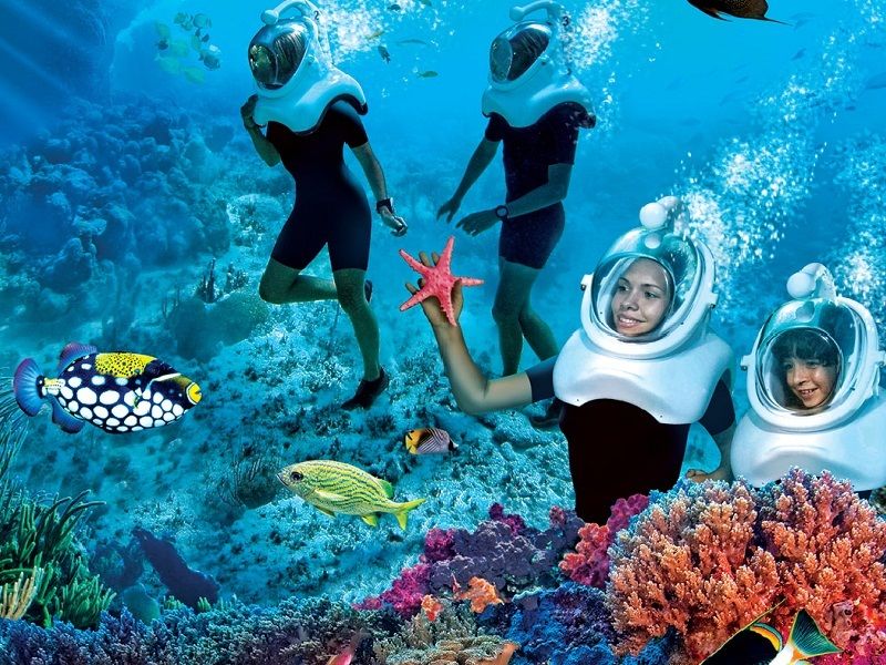 Photo of Top things to Consider during your Andaman and Nicobar Island Trip 6/9 by Shifali (Nature Lover)