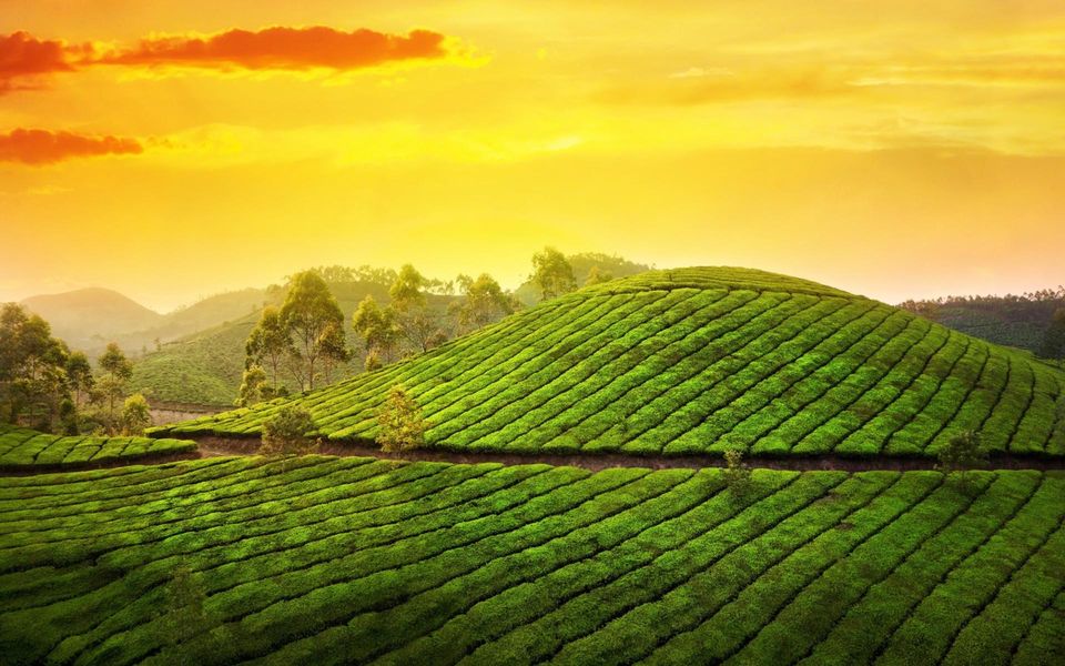 Photo of Some Breathtaking destinations to celebrate honeymoon:North East India 1/9 by Shifali (Nature Lover)