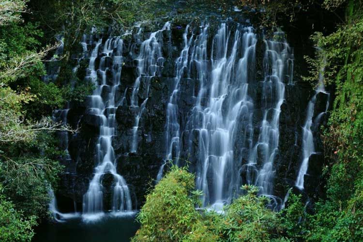 Photo of Some Breathtaking destinations to celebrate honeymoon:North East India 8/9 by Shifali (Nature Lover)
