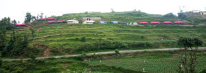 Photo of Kanatal : A Less Traveled Offbeat Weekend Getaway For Camping 1/3 by Shifali (Nature Lover)