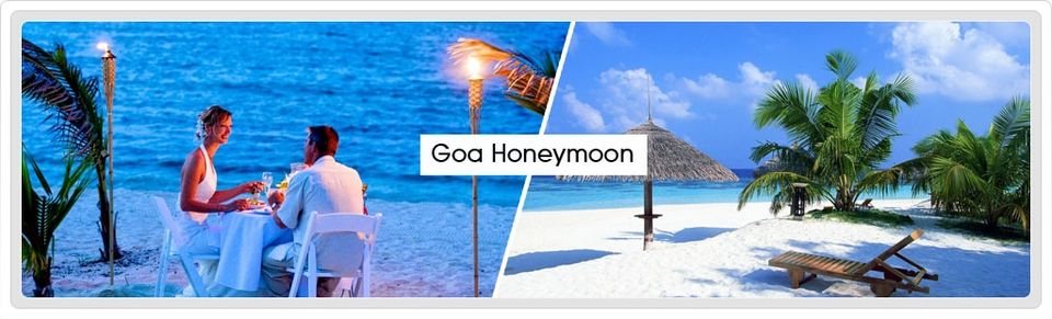 Photo of Honeymoon Destinations In December India, Honeymoon Places in winter 10/12 by Shifali (Nature Lover)