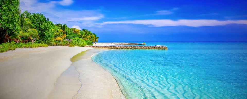 Photo of Honeymoon Destinations In December India, Honeymoon Places in winter 11/12 by Shifali (Nature Lover)