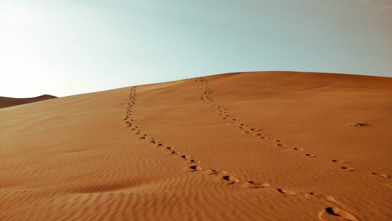 Photo of Desert Safari Dubai - Umm Suqeim Street - Dubai - United Arab Emirates by Mallika Rohatgi