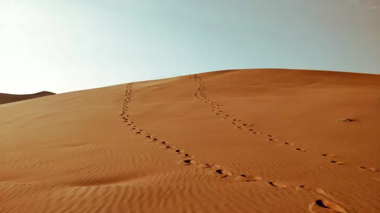 Photo of Desert Safari Dubai - Umm Suqeim Street - Dubai - United Arab Emirates by Mallika Rohatgi