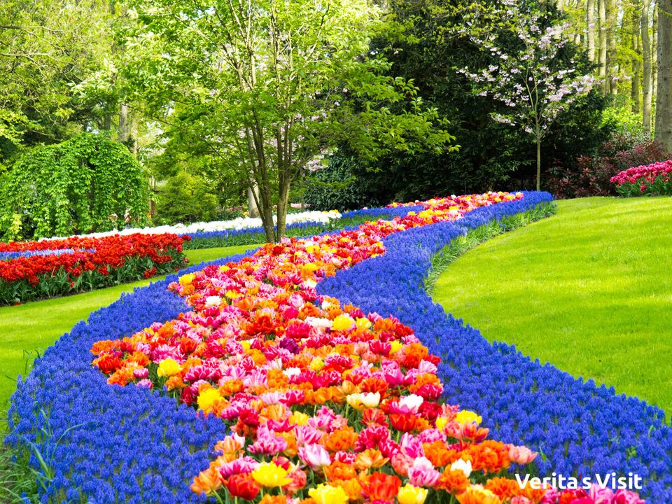 Photo of Verita's Visit to Keukenhof by Verita's Visit Holland