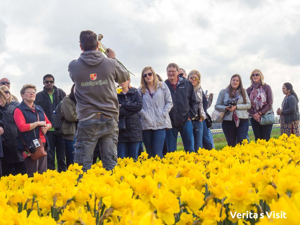 Photo of Tulip Field Bike Tour Holland 2/7 by Verita's Visit Holland