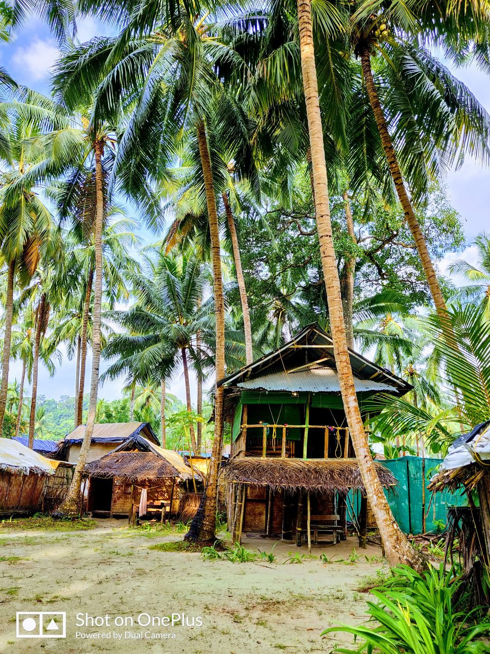 Photo of 7 Days Travel Itinerary to Andaman Nicobar Islands 7/8 by Aditya Chintha