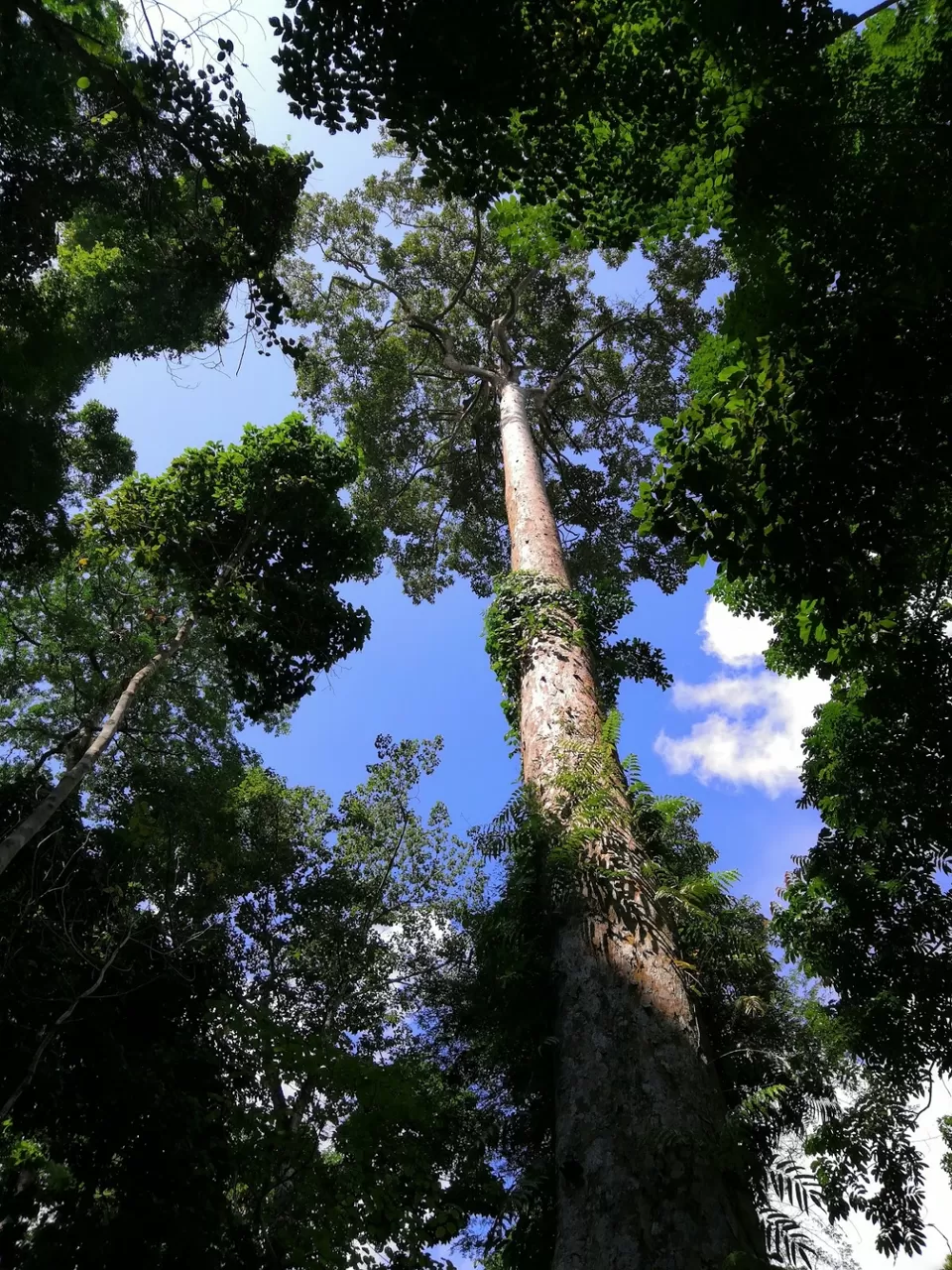 Photo of My Andaman Diary (9 days) by Anoop Sarma