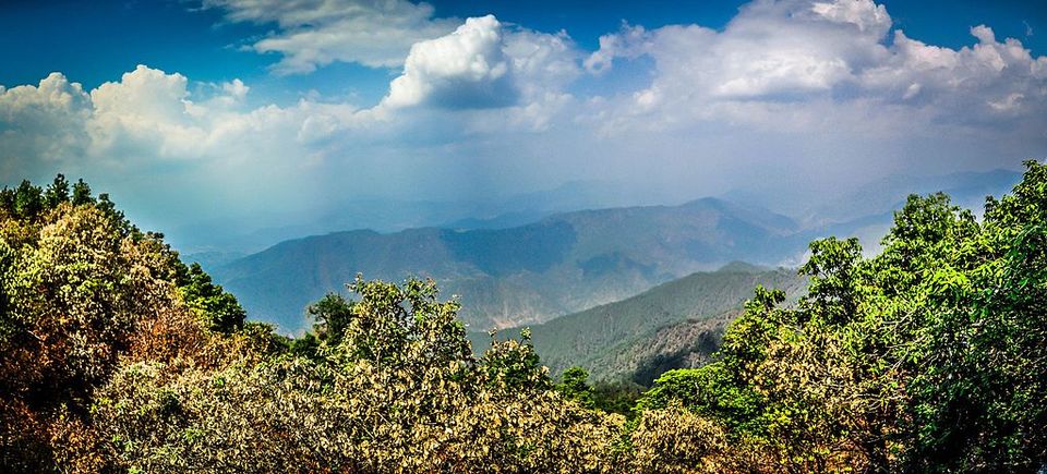 Photo of Binsar Wildllife Sanctuary, Niti Khand 2, Ghaziabad, Uttar Pradesh, India by Nikita Das - Vagabond Stories