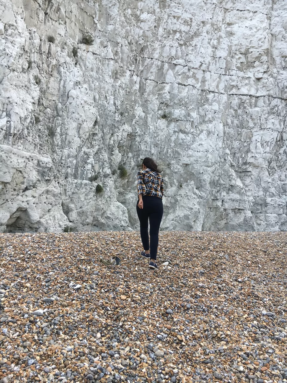 Photo of Seven Sisters Country Park, East Dean Road, Seaford, United Kingdom by Kriti