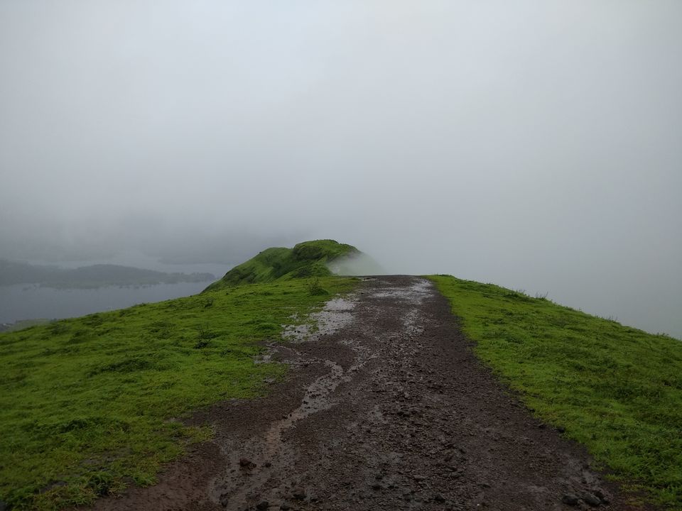 Photo of Torna Fort: Trek to the Eagle's Nest by Vagabond