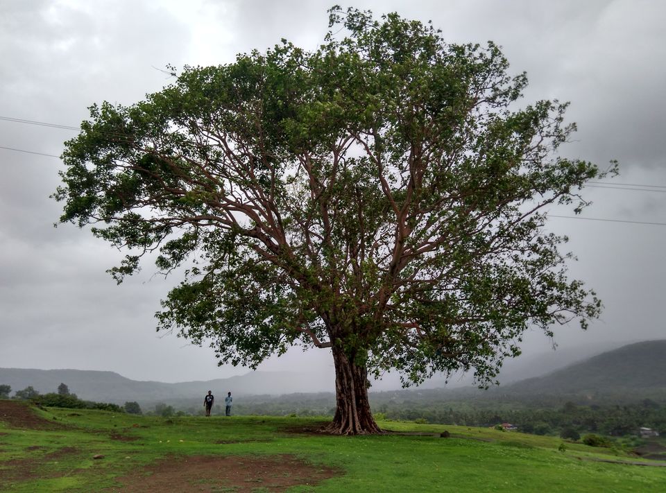 Photo of Kashid, Maharashtra, India by Vagabond