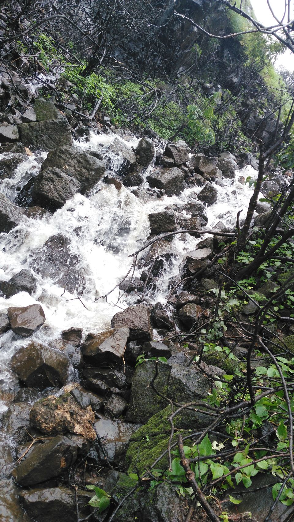 Photo of Visapur Fort: Trekking through Waterfall by Vagabond