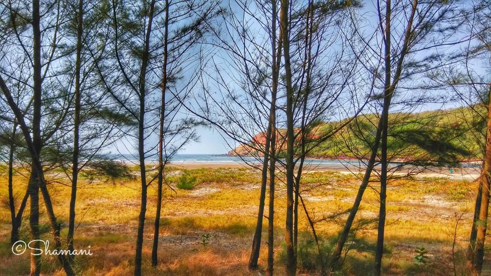 Photo of Atithi Parinay: A Peaceful Stay in a Konkan Village by Vagabond