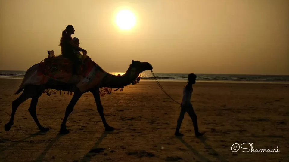 Photo of Malgund Beach, Ratnagiri, Maharashtra, India by Vagabond