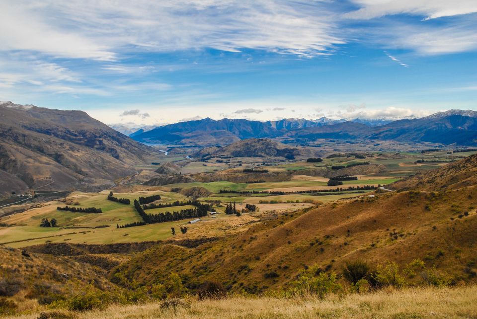 Photo of Newbies guide to New Zealand 2/60 by Maddie Snow Hickman