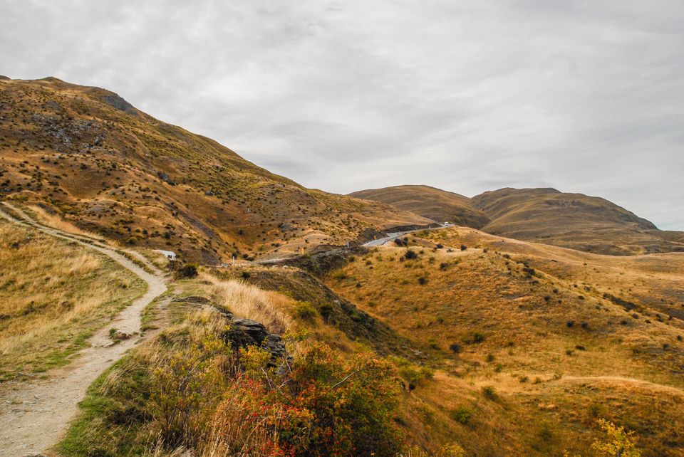 Photo of Newbies guide to New Zealand 3/60 by Maddie Snow Hickman