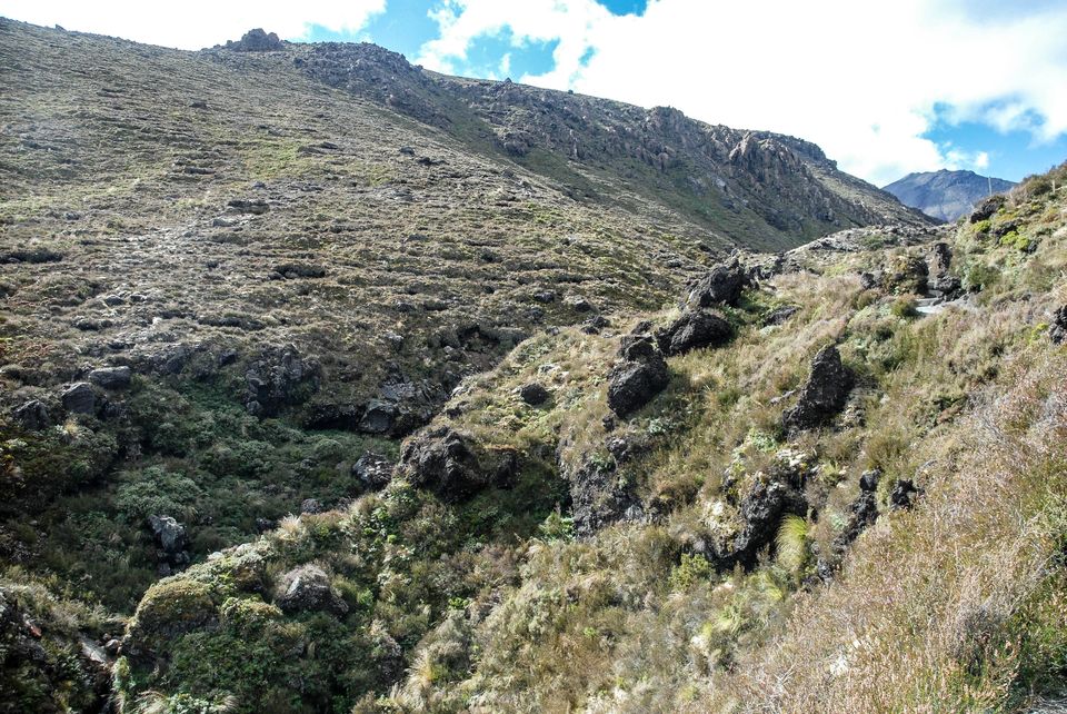 Photo of Newbies guide to New Zealand 9/60 by Maddie Snow Hickman