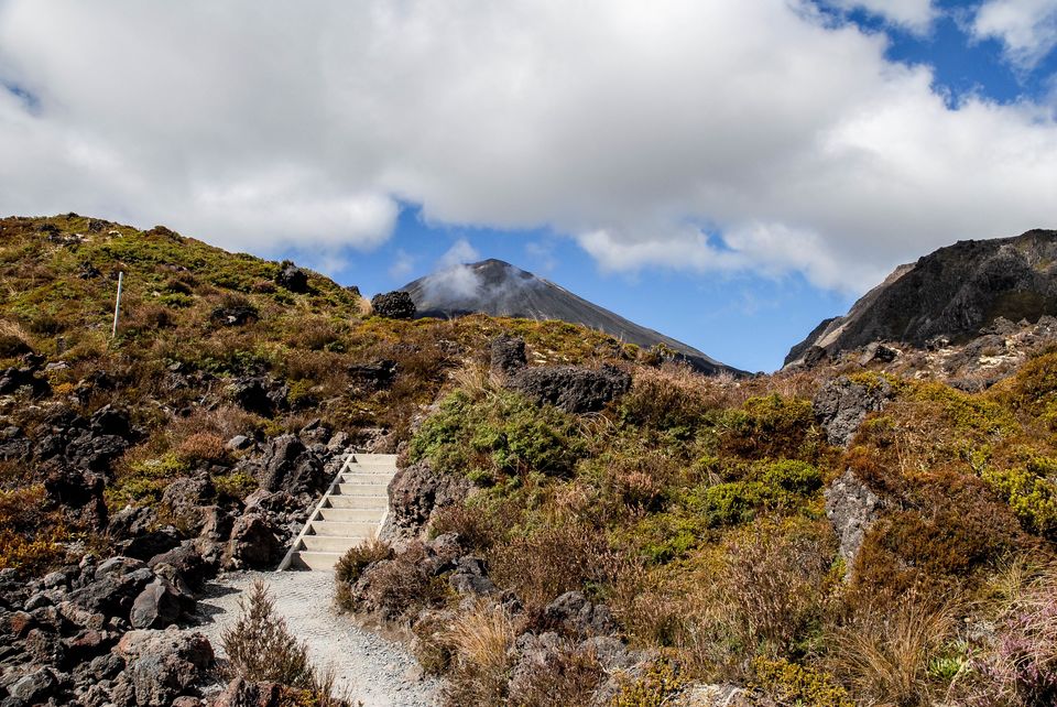 Photo of Newbies guide to New Zealand 11/60 by Maddie Snow Hickman