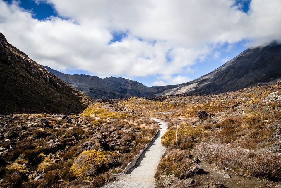 Photo of Newbies guide to New Zealand 13/60 by Maddie Snow Hickman