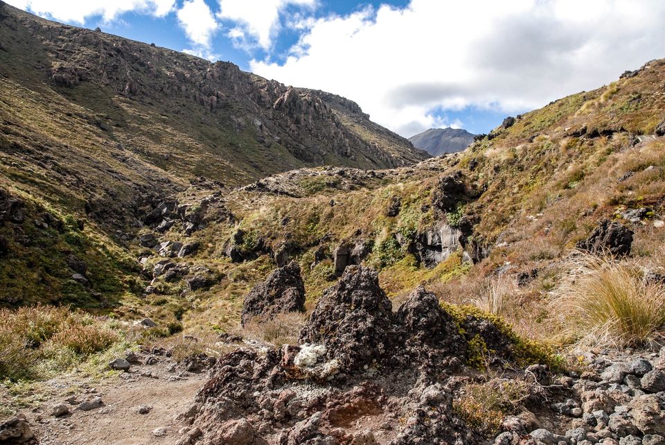 Photo of Newbies guide to New Zealand 12/60 by Maddie Snow Hickman