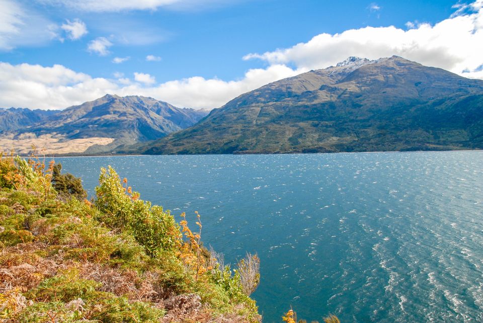 Photo of Newbies guide to New Zealand 23/60 by Maddie Snow Hickman