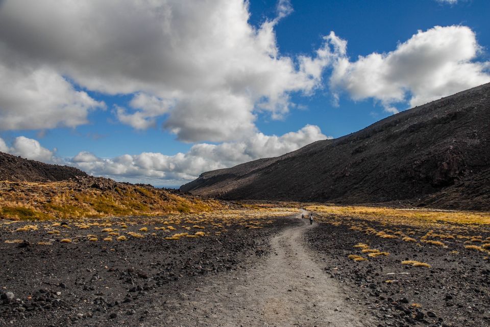Photo of Newbies guide to New Zealand 24/60 by Maddie Snow Hickman
