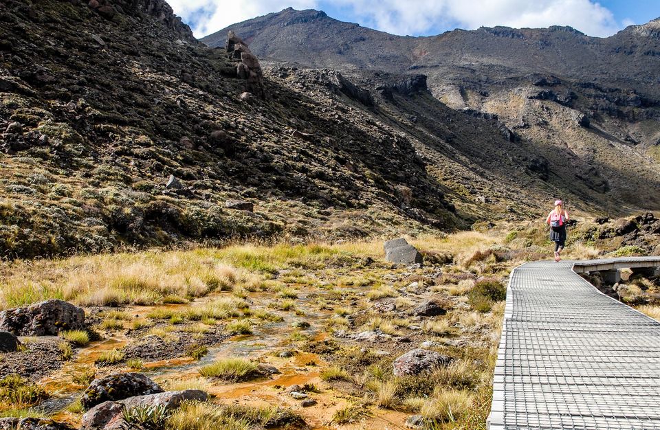 Photo of Newbies guide to New Zealand 22/60 by Maddie Snow Hickman
