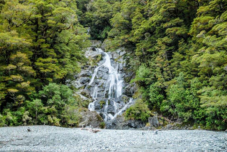 Photo of Newbies guide to New Zealand 28/60 by Maddie Snow Hickman