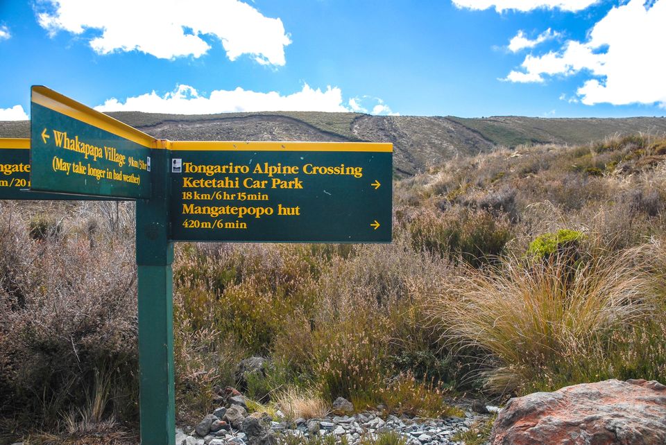 Photo of Newbies guide to New Zealand 5/60 by Maddie Snow Hickman