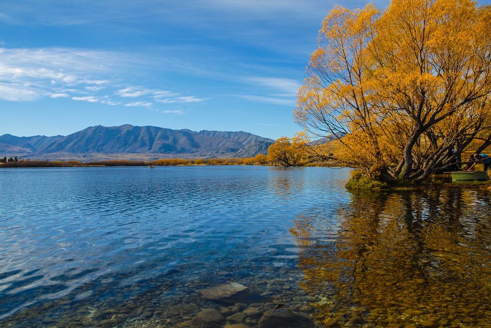 Photo of Newbies guide to New Zealand 39/60 by Maddie Snow Hickman