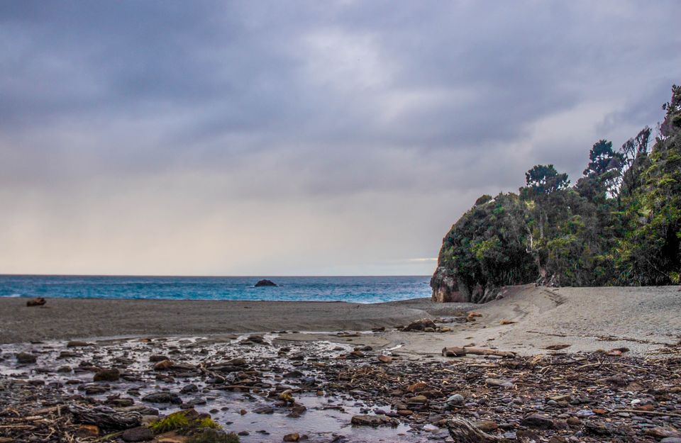 Photo of Newbies guide to New Zealand 40/60 by Maddie Snow Hickman