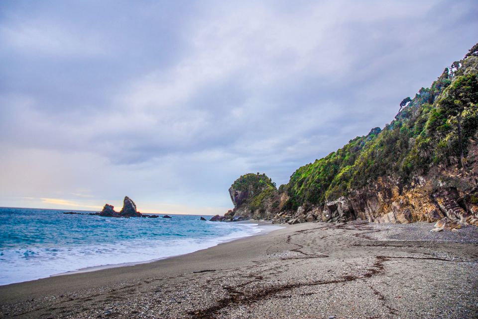 Photo of Newbies guide to New Zealand 42/60 by Maddie Snow Hickman