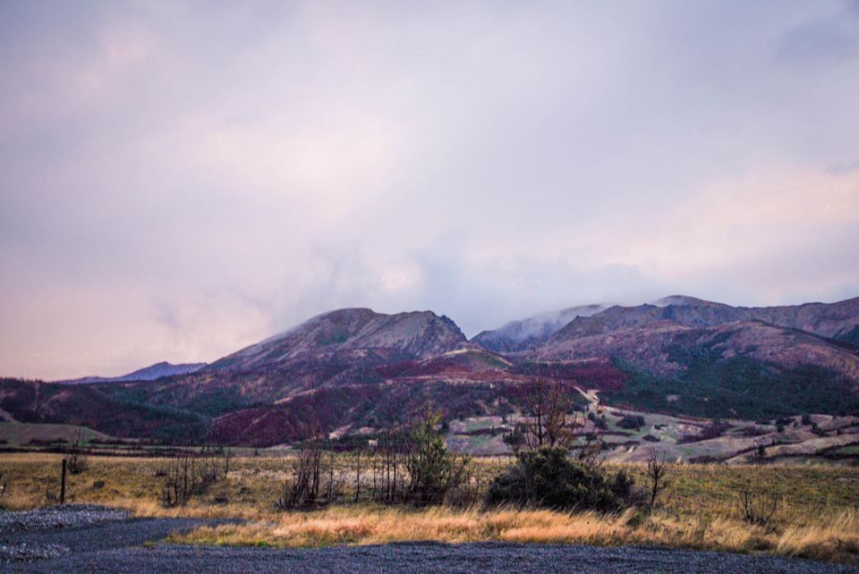 Photo of Newbies guide to New Zealand 53/60 by Maddie Snow Hickman
