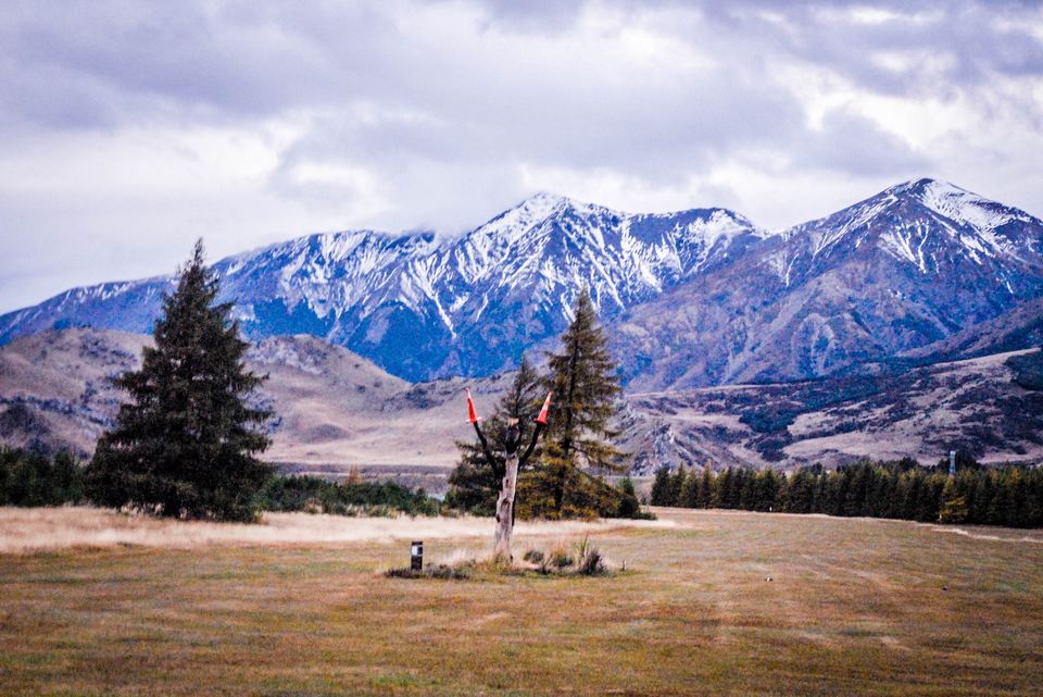 Photo of Newbies guide to New Zealand 54/60 by Maddie Snow Hickman