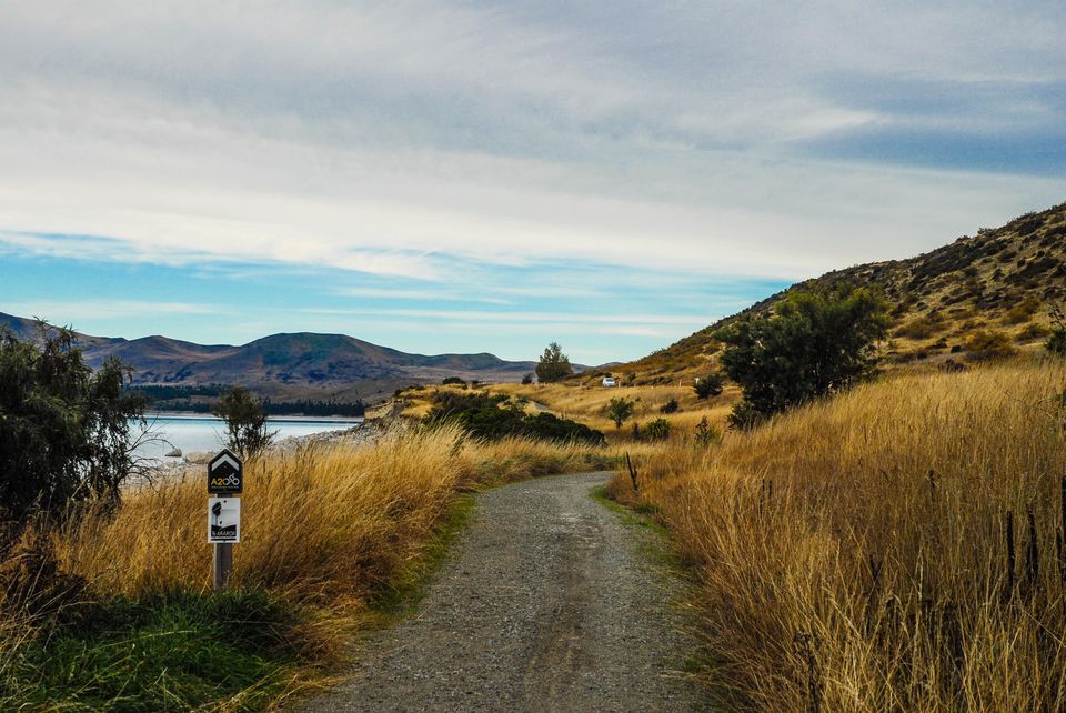Photo of Newbies guide to New Zealand 51/60 by Maddie Snow Hickman