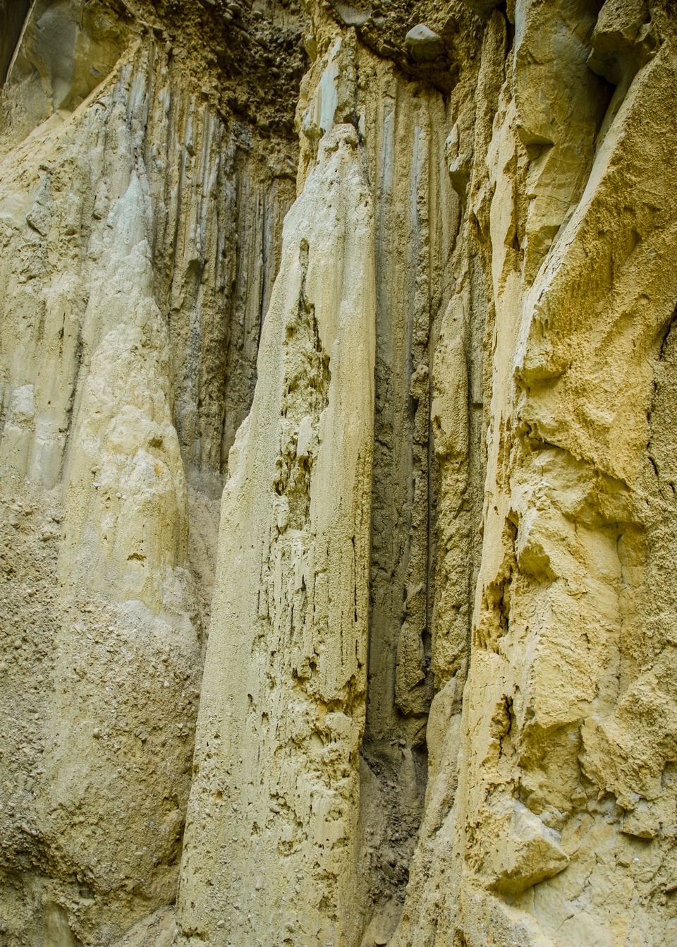 Photo of Newbies guide to New Zealand 60/60 by Maddie Snow Hickman