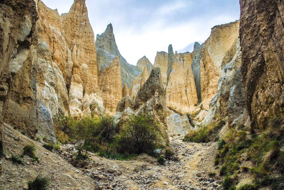 Photo of Newbies guide to New Zealand 58/60 by Maddie Snow Hickman