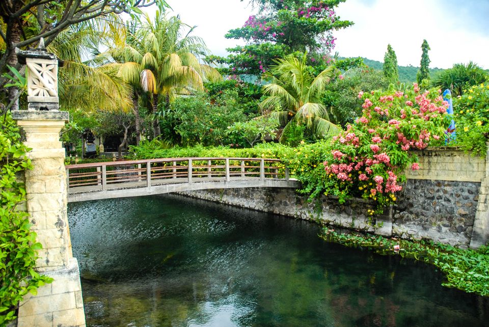 Photo of Beginners Guide to Bali: brought to you by a beginner
 23/58 by Maddie Snow Hickman