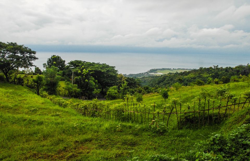 Photo of Beginners Guide to Bali: brought to you by a beginner
 37/58 by Maddie Snow Hickman