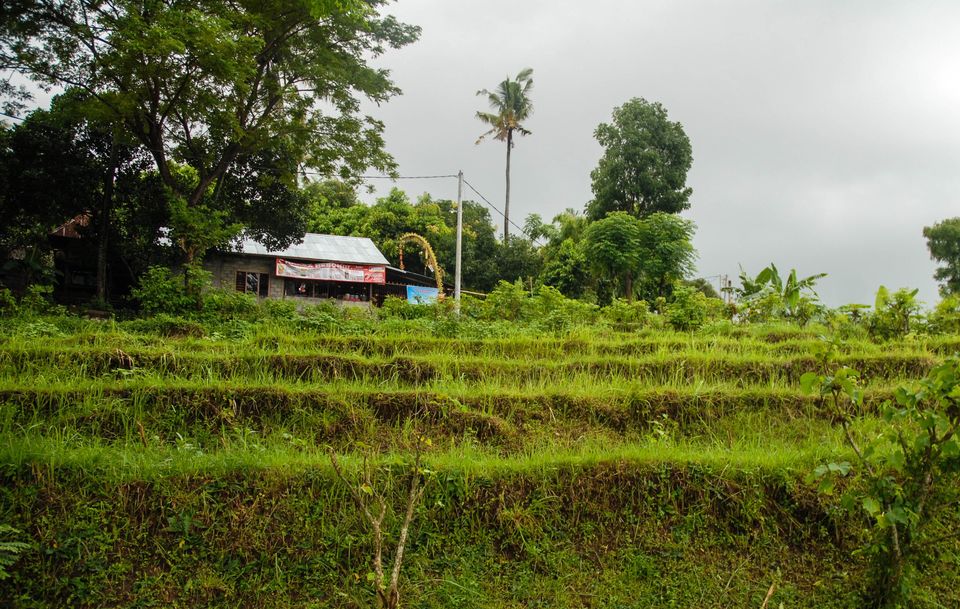 Photo of Beginners Guide to Bali: brought to you by a beginner
 38/58 by Maddie Snow Hickman