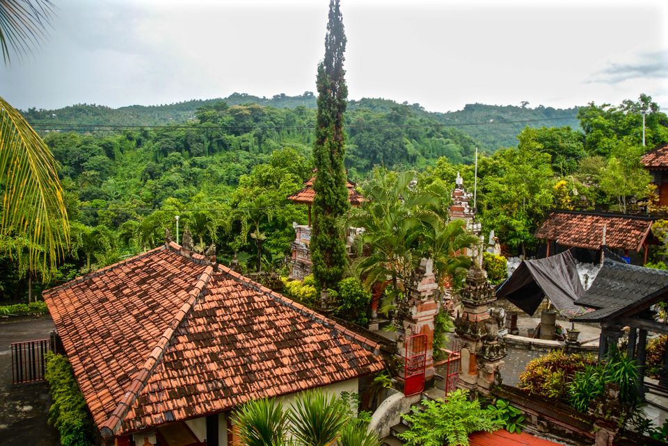 Photo of Beginners Guide to Bali: brought to you by a beginner
 47/58 by Maddie Snow Hickman
