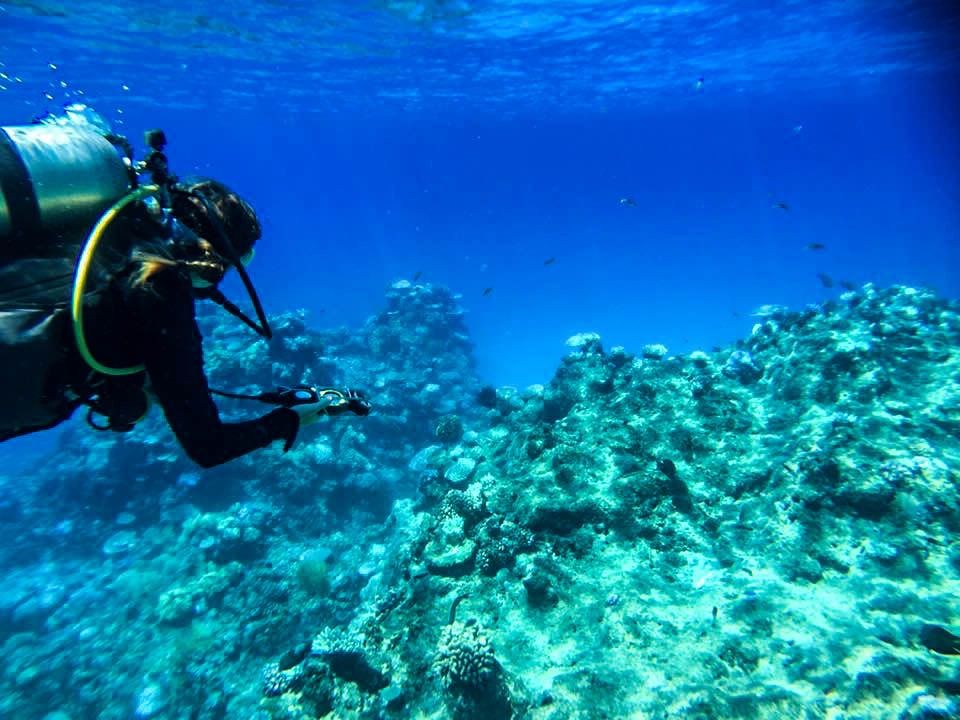 Photo of Great Barrier Reef Live-Aboard Dive Trip 18/23 by Maddie Snow Hickman