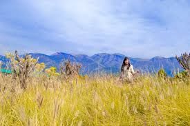 Photo of Travel Destinations For Solo Women Traveler in India - Safe Solo Travel 9/12 by Priyanka Katiyar