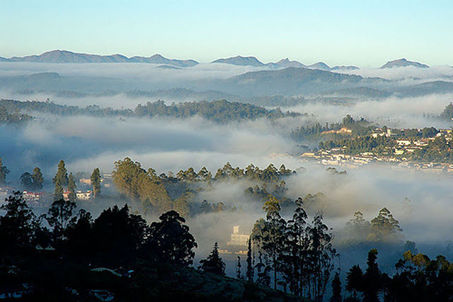 Photo of Breathtaking Hill stations in India you should visit before you breathe your last 24/38 by Priyanka Katiyar